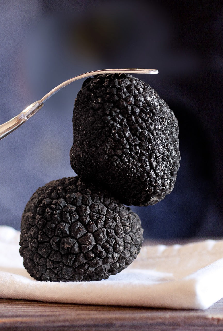 10 Most Expensive Edible Mushroom Varieties