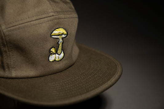 The Five Panel Death Cap