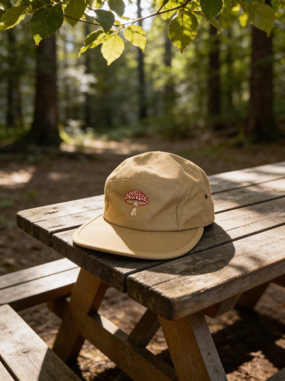 our amanita muscaria cap on a park bench
